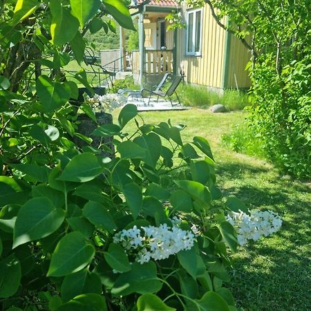Charmigt Hus Pa Landet Naera Till Bad Strömstad Dış mekan fotoğraf