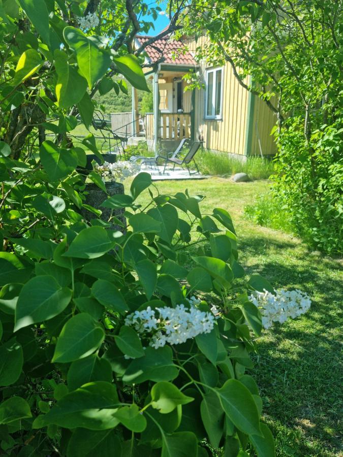 Charmigt Hus Pa Landet Naera Till Bad Strömstad Dış mekan fotoğraf