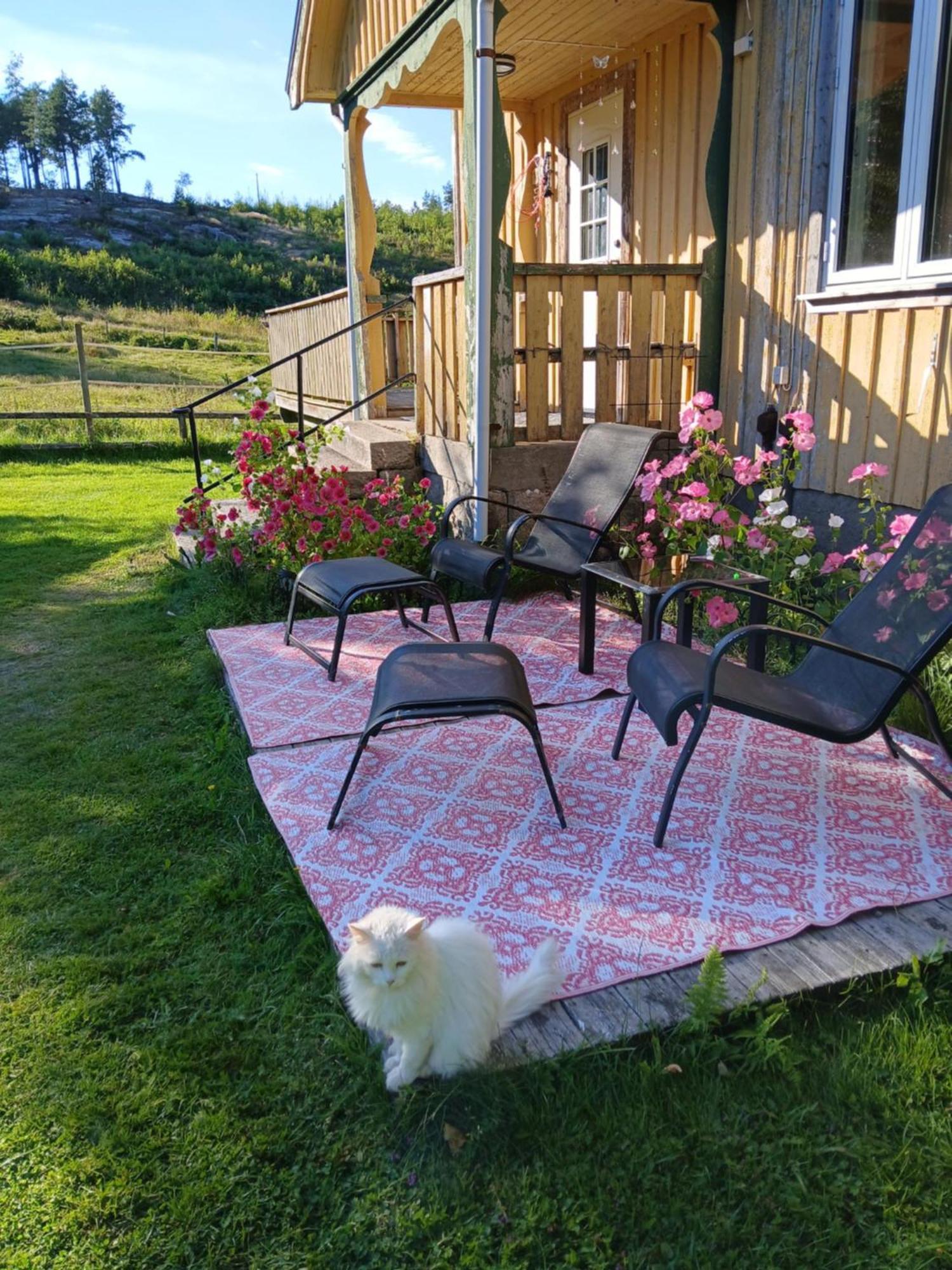 Charmigt Hus Pa Landet Naera Till Bad Strömstad Dış mekan fotoğraf
